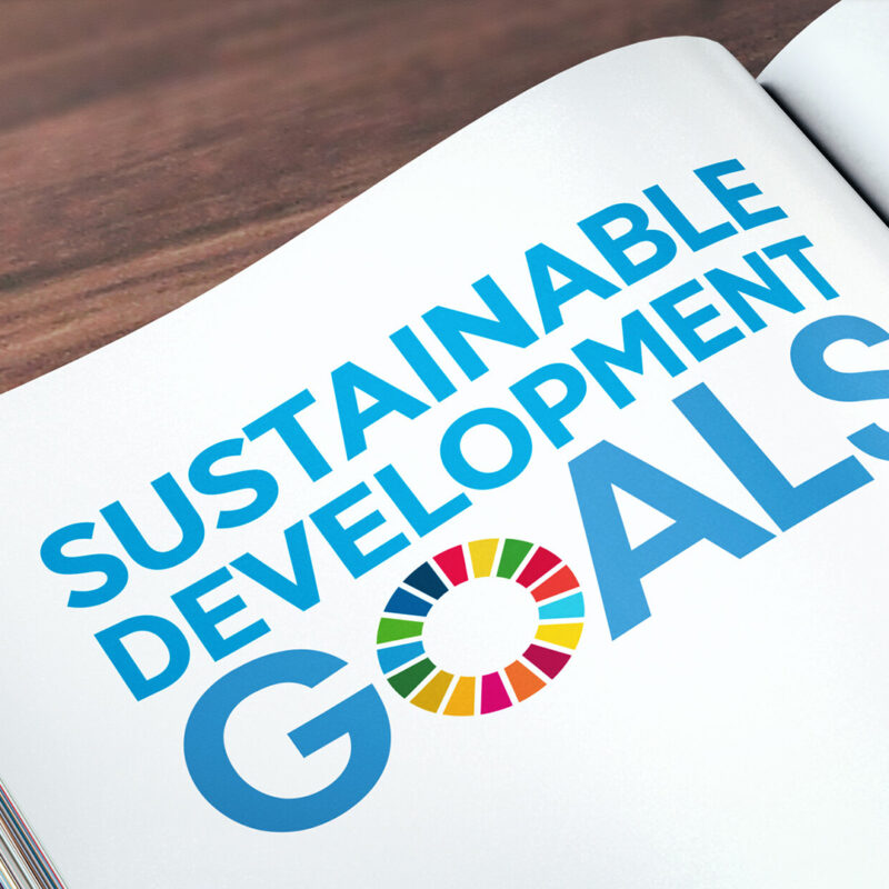 Obiettivi di Sviluppo Sostenibile: a che punto siamo