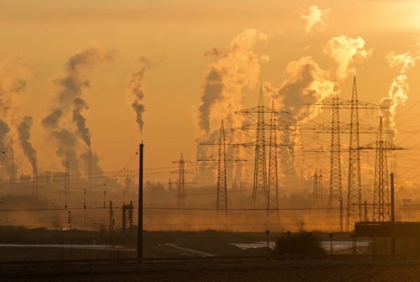 Il prodotto e la sua Carbon Footprint