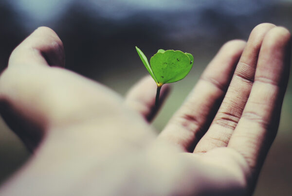 Life Cycle Assessment: di cosa si tratta?