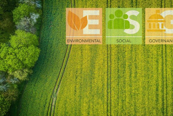 La ESG Ecosystem Map del World Economic Forum