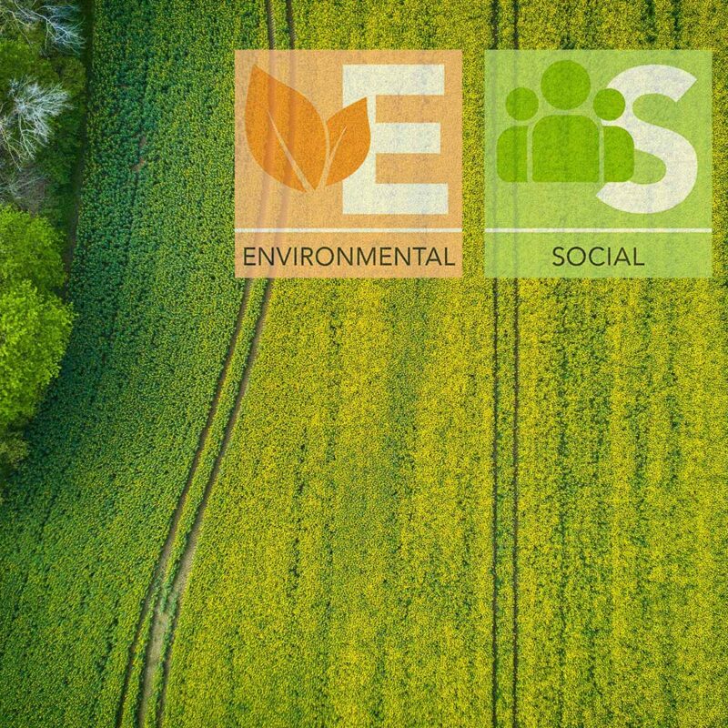 La ESG Ecosystem Map del World Economic Forum