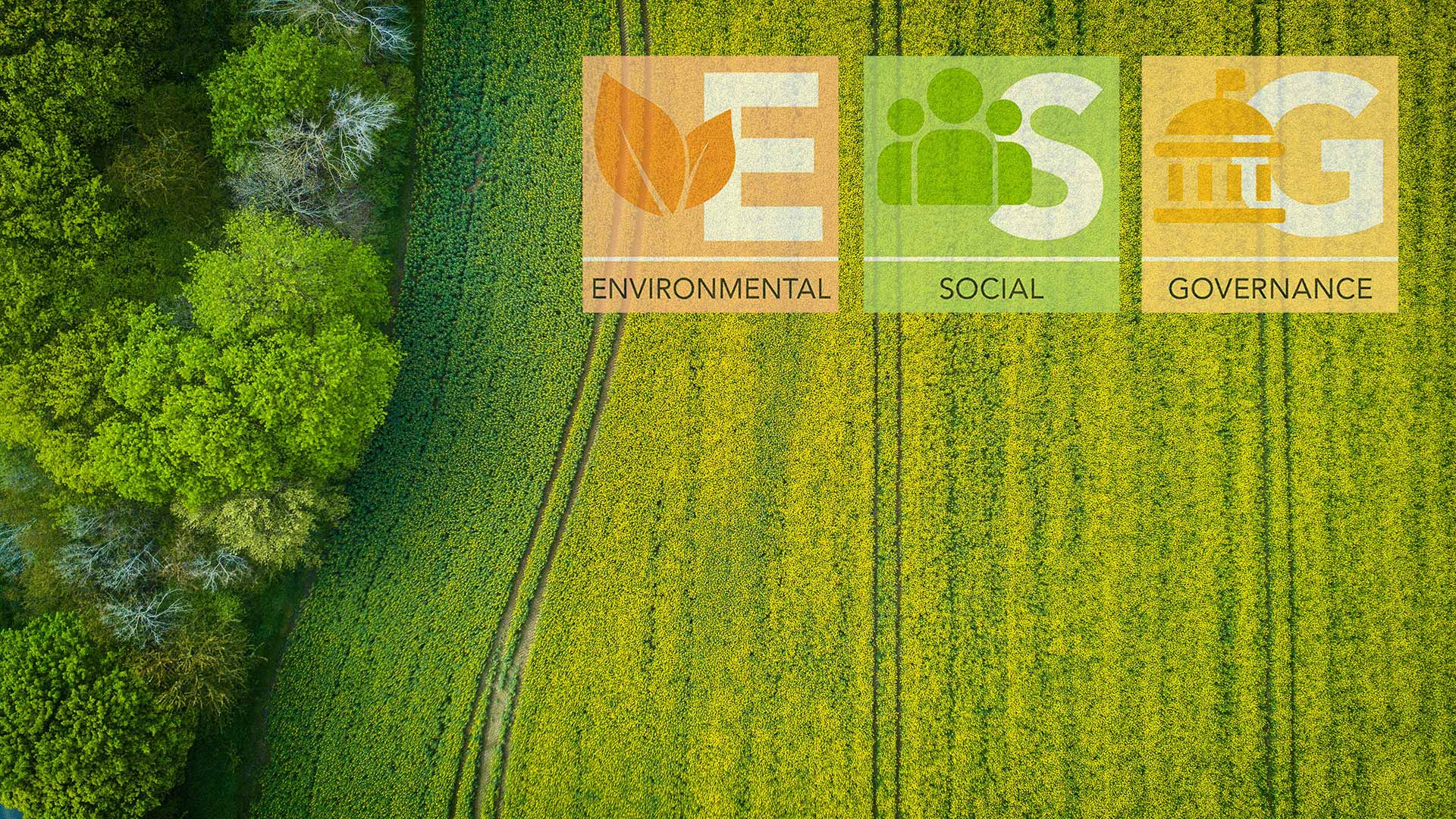 ECOSISTEMA ESG: LA MAPPA DEL WORLD ECONOMIC FORUM